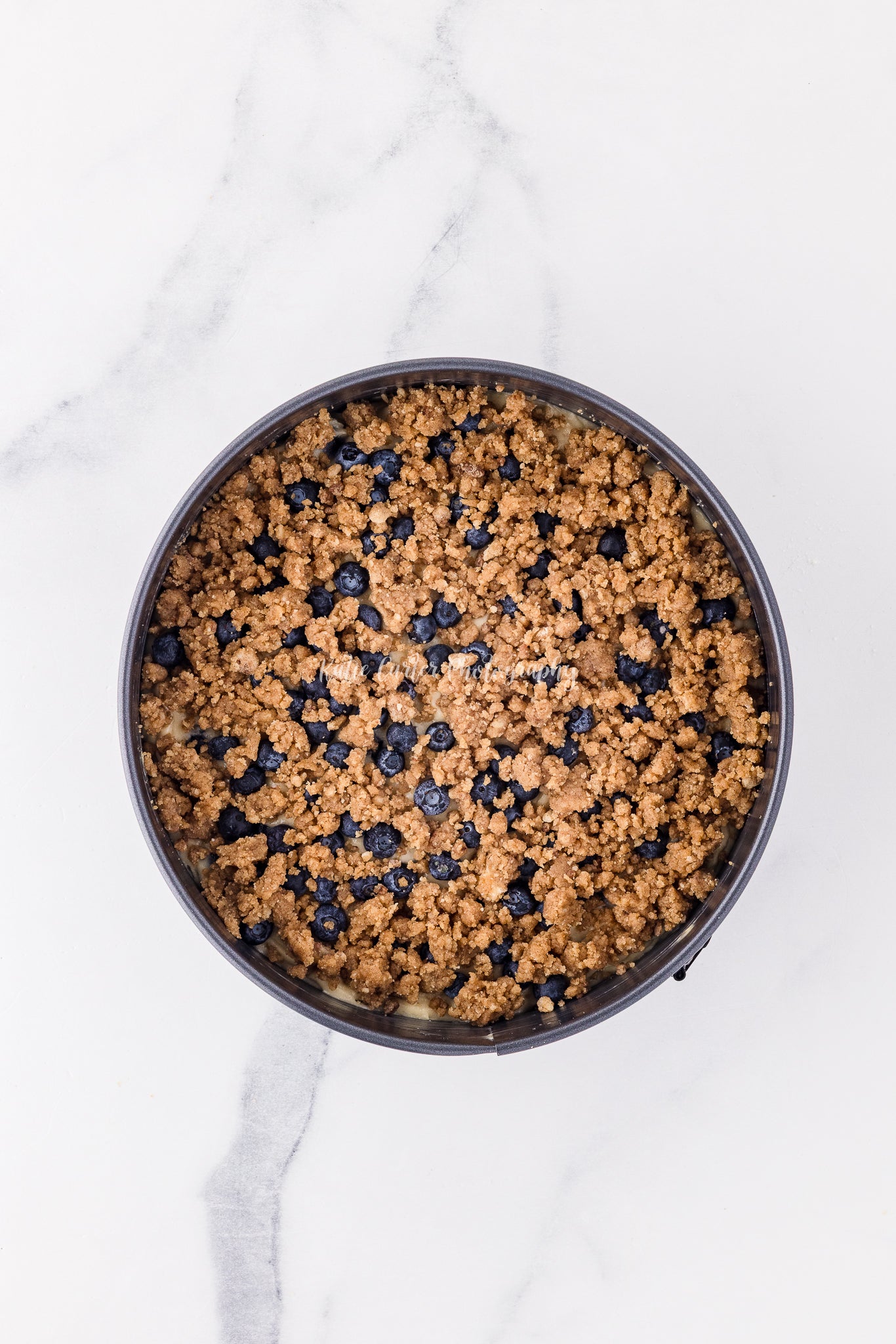 Blueberry Sour Cream Coffee Cake {exclusive}