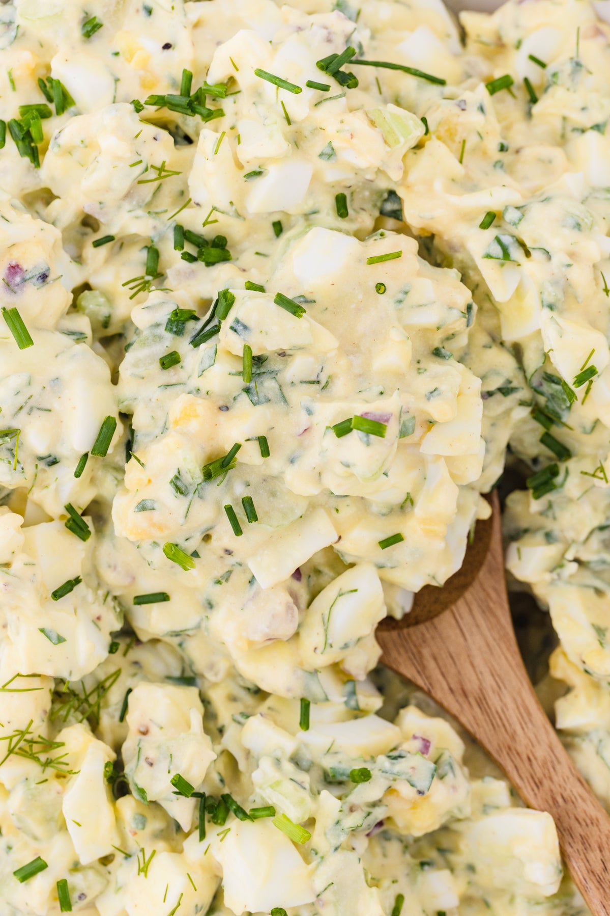 Egg Salad with Cottage Cheese {exclusive}