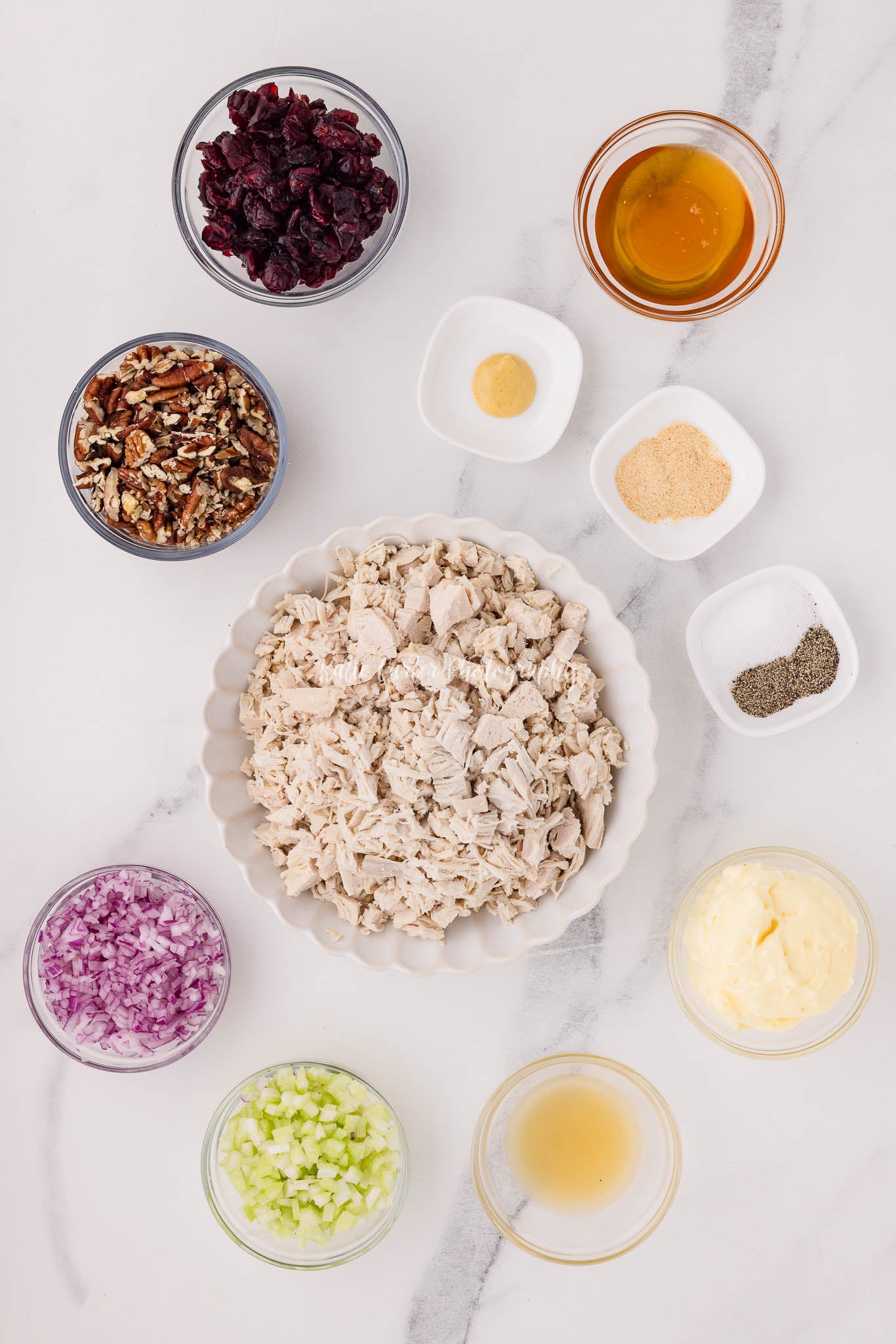 Cranberry Pecan Chicken Salad {exclusive}