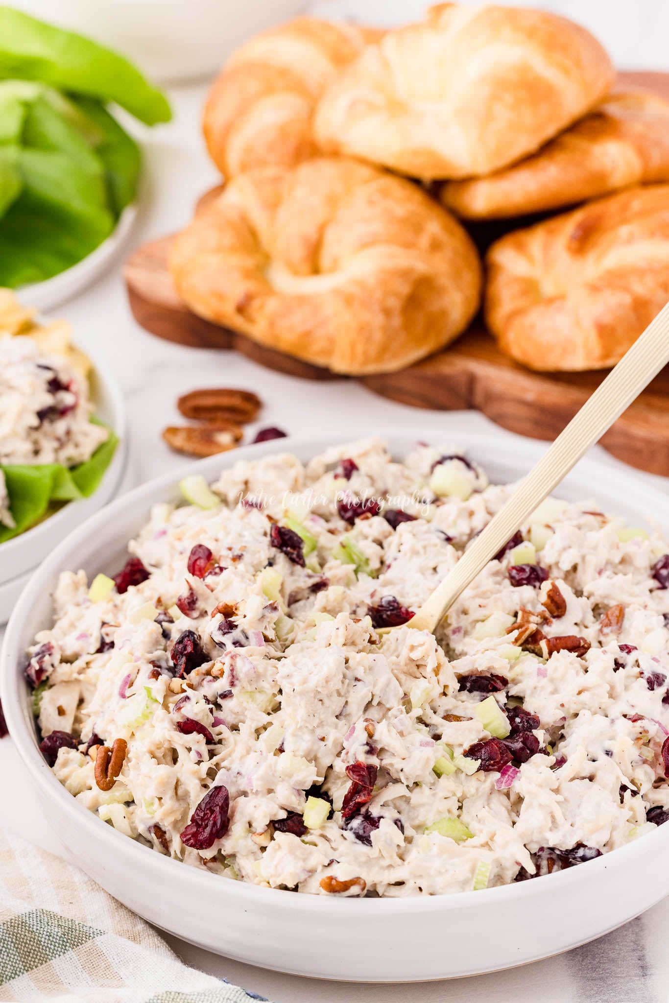 Cranberry Pecan Chicken Salad {exclusive}