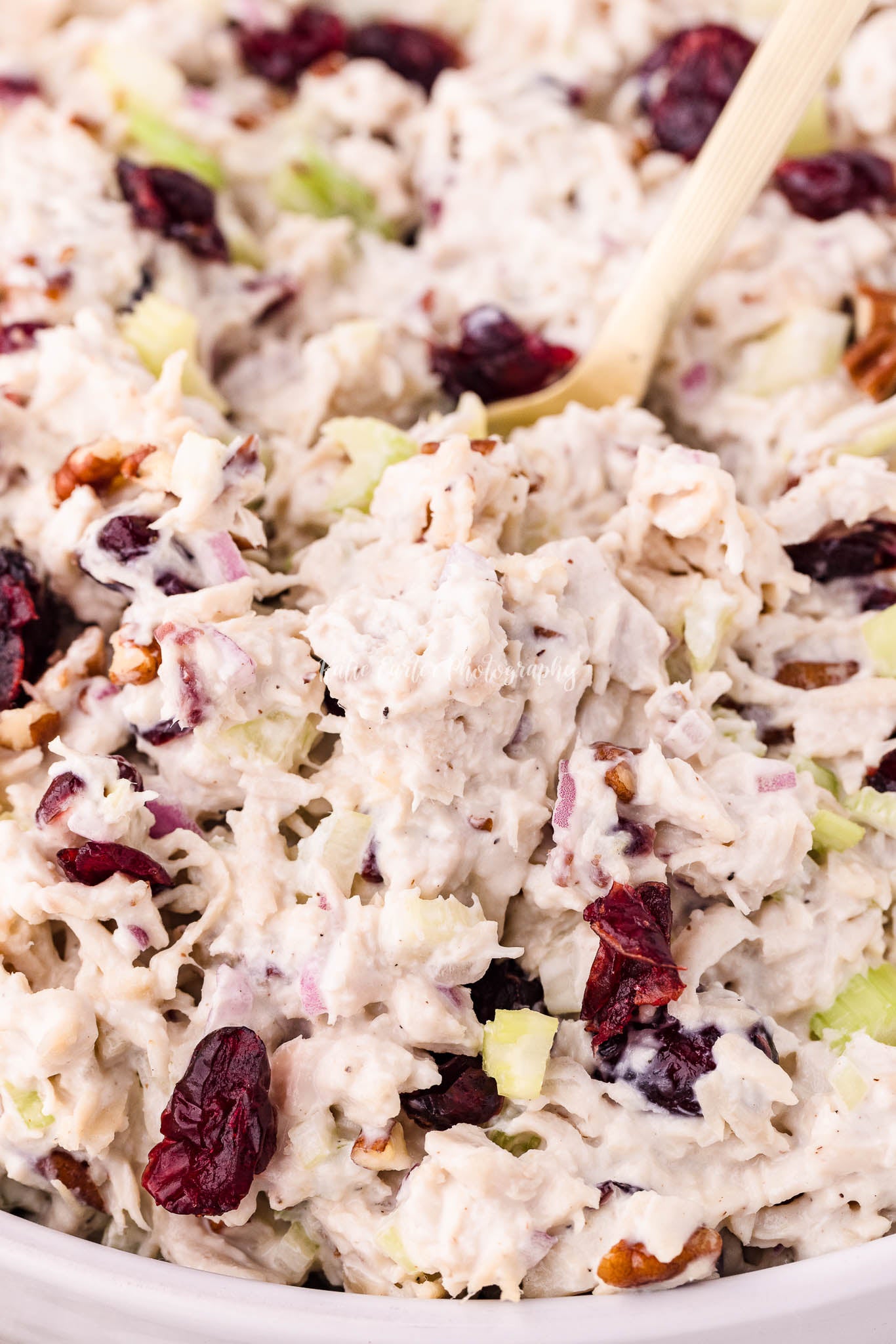 Cranberry Pecan Chicken Salad {exclusive}
