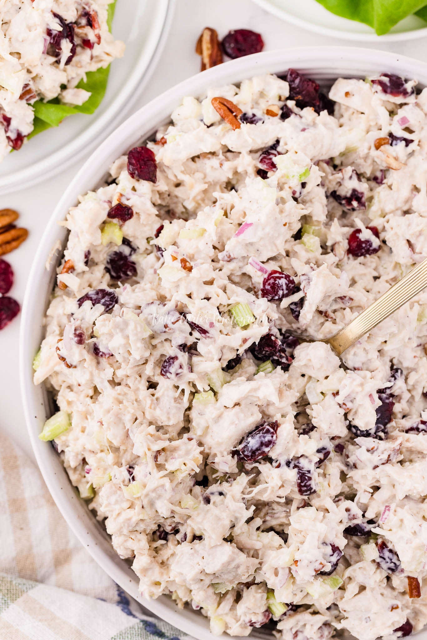 Cranberry Pecan Chicken Salad {exclusive}