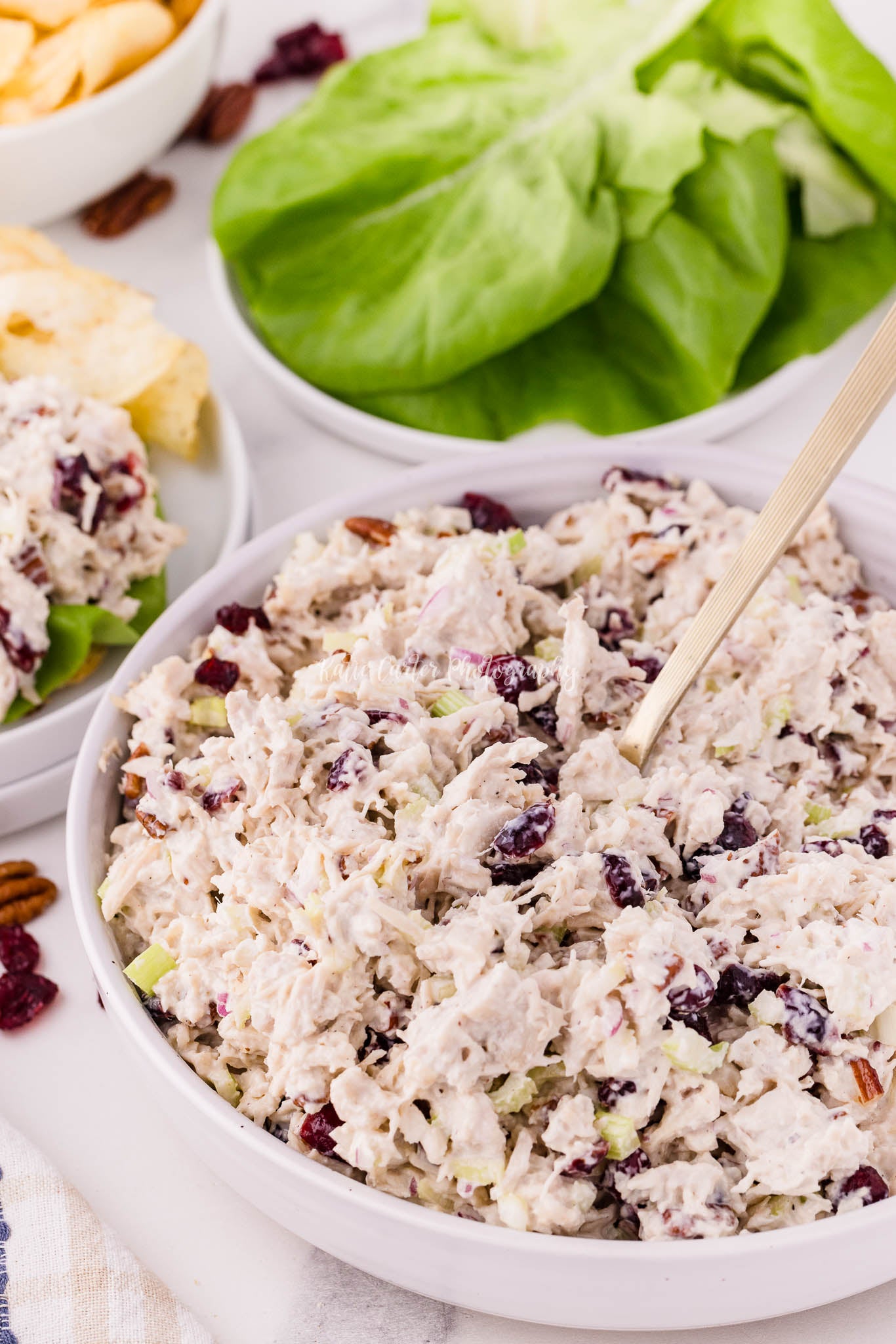 Cranberry Pecan Chicken Salad {exclusive}