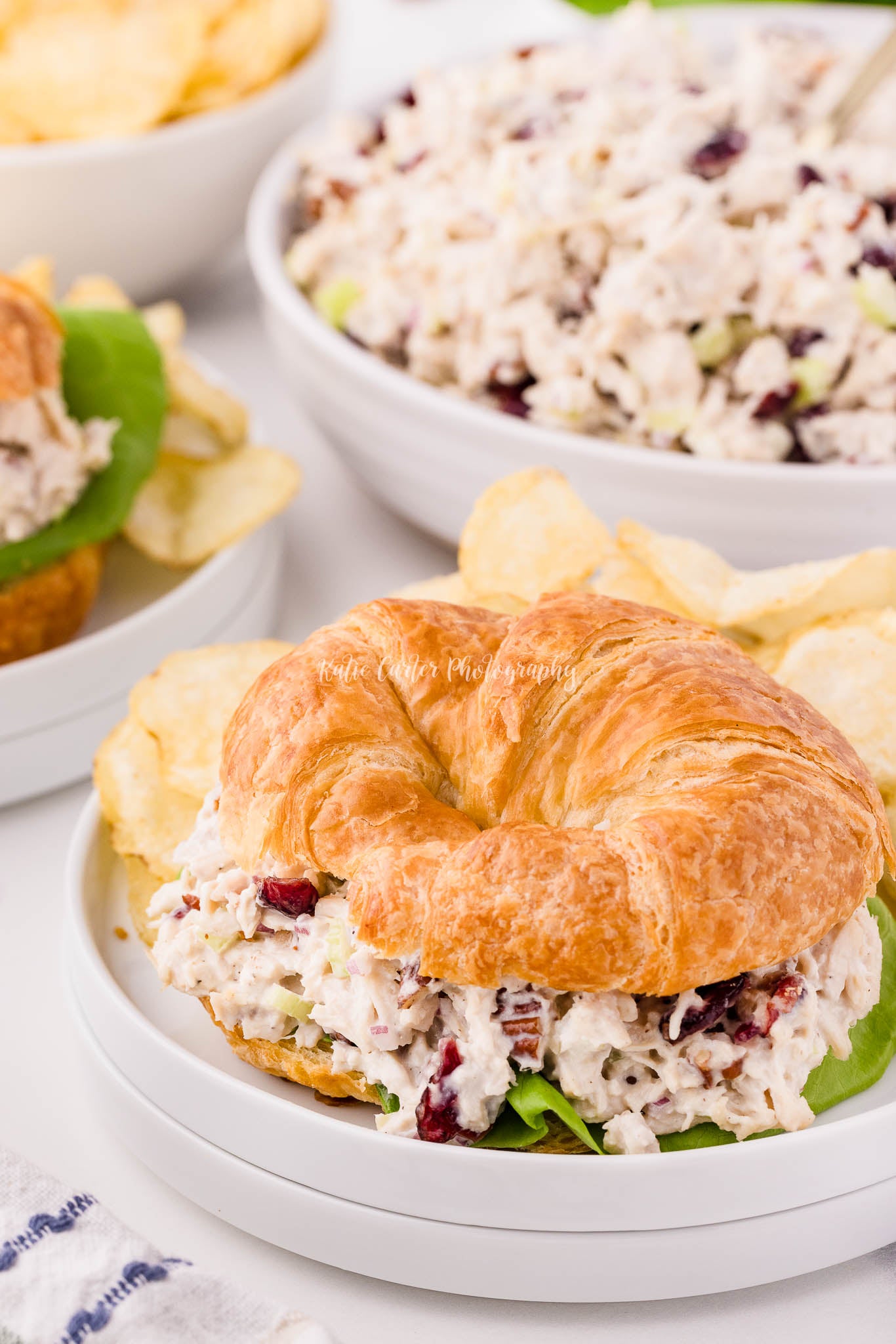 Cranberry Pecan Chicken Salad {exclusive}