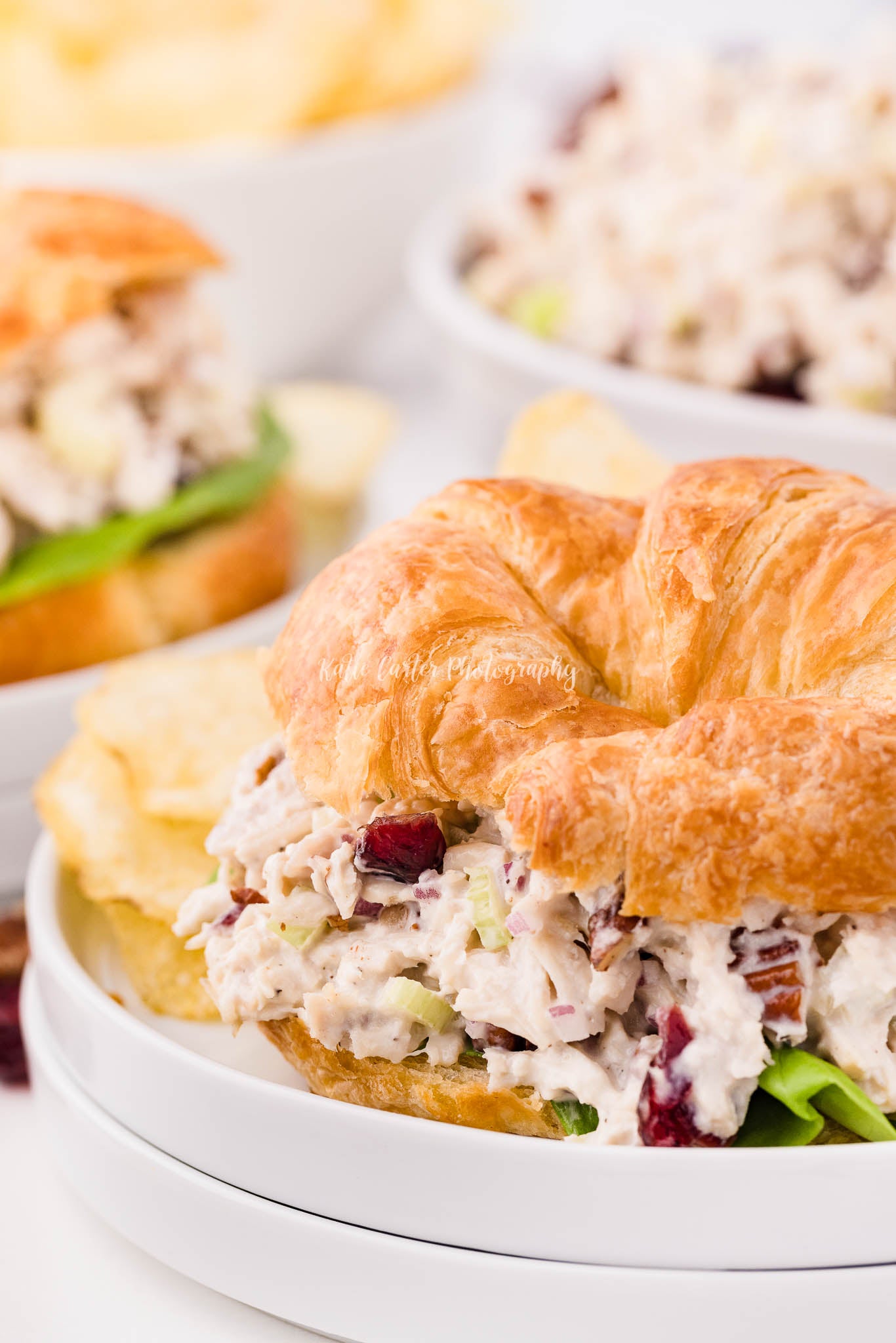 Cranberry Pecan Chicken Salad {exclusive}